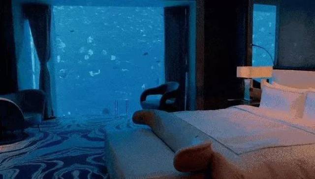 般的海底世界, 听澜观海,享受海底风光; 海神波塞冬的宫殿也不过如此