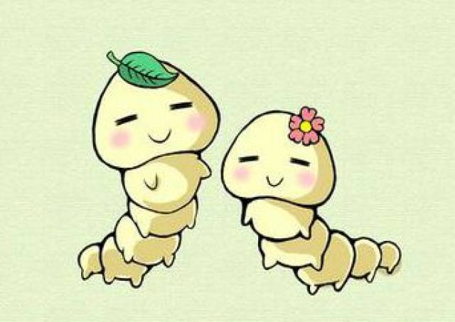 蚕在吐丝疯狂猜成语_蚕吐丝图片(3)