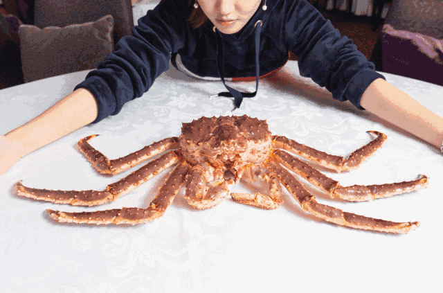 来厦门应该这样玩,这份