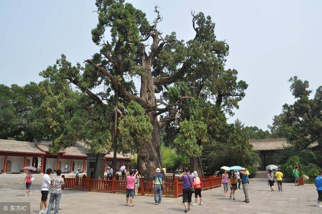 陕西这座小县城,因天下第一陵的缘故,汉武帝曾亲率十八万人前来