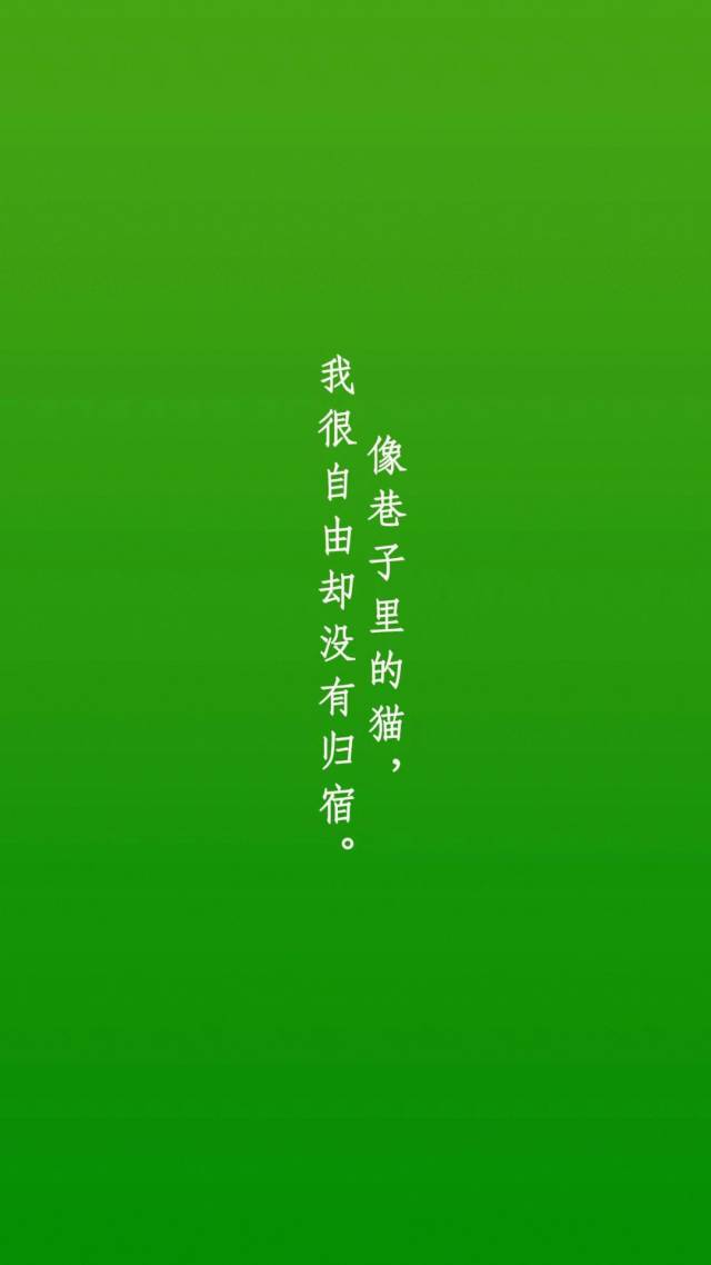 原谅色壁纸