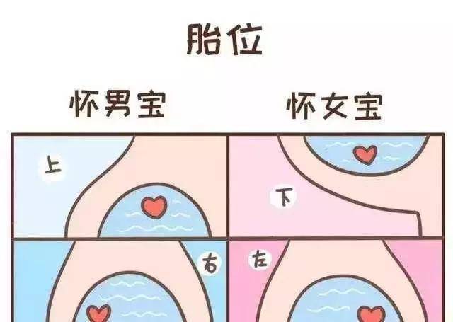 怀女宝的妈妈普通都是下怀并且在左边更频仍