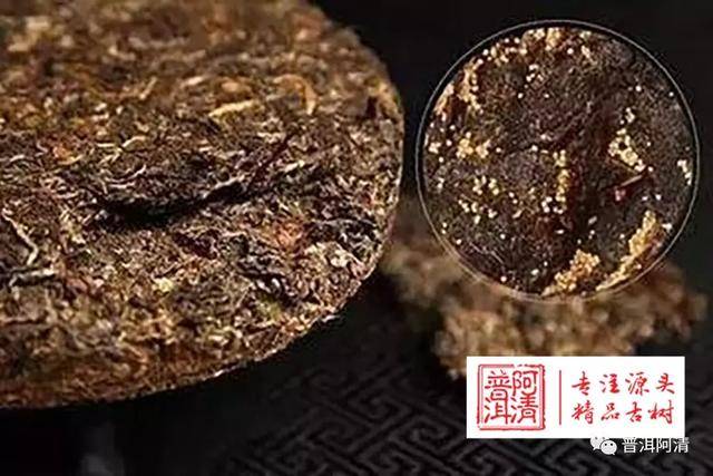 普洱阿清 出现在普洱茶上的小黄点是金花还是黄曲霉?