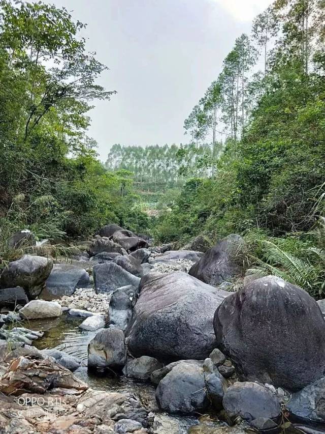 【葵潭周边景点】 马鞍山农场西山涧