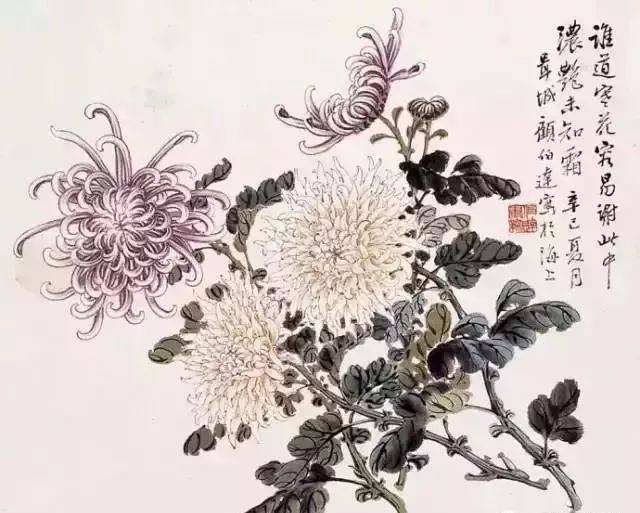 历代名家画菊