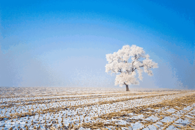 灯光照耀下, 型态各异的雪景造型, 让人感叹大自然的鬼斧神工.