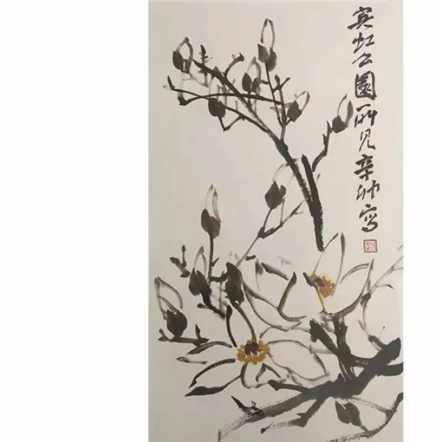 国画入门视频教程丨玉兰花,菊花的画法