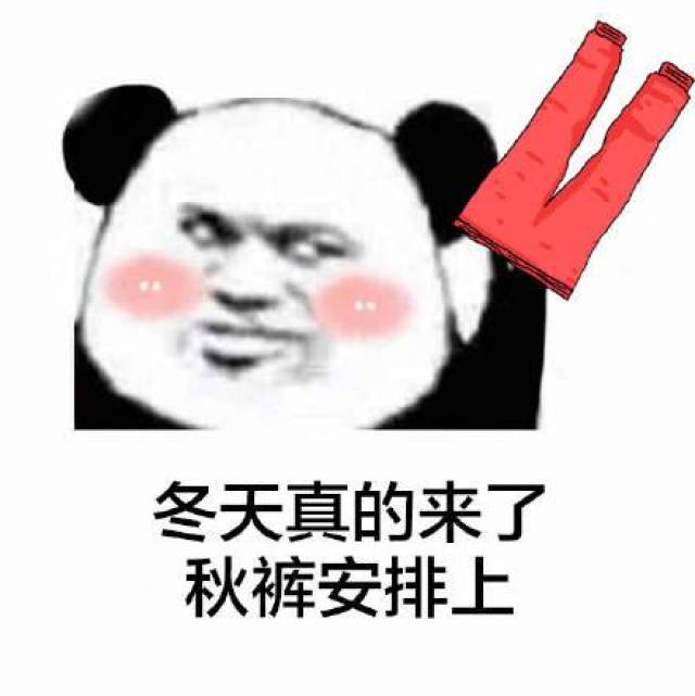 你没有天线,我无法跟你解释 冬天真的来了,秋裤安排上 花花世界迷人