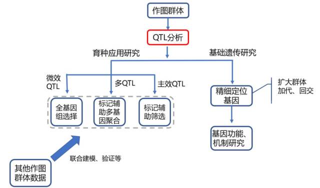 Omicshare在线课堂59期--QTL定位的方法