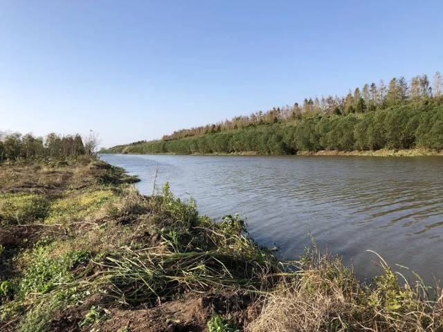 崇明团旺河(东旺湖段)河道综合整治工程