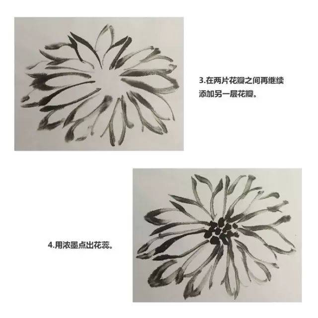 国画入门视频教程丨玉兰花,菊花的画法