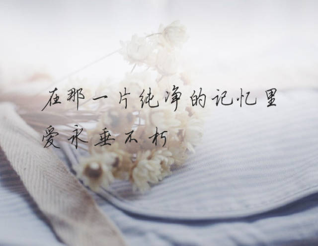 总有一个人,得不到忘不了