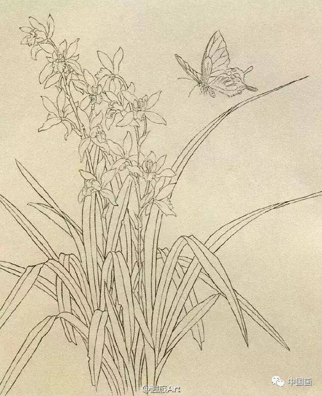 简单易学!国画工笔兰花步骤