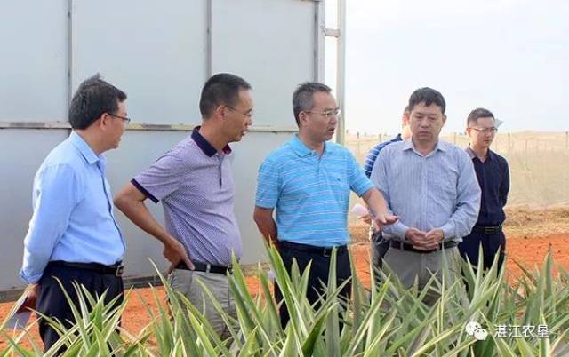 支光南到湛江垦区调研指导工作