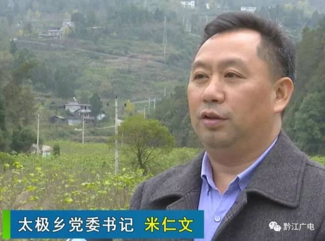 【太极乡党委书记 米仁文】2018年太极乡产茧量再次雄踞全区第一名,中