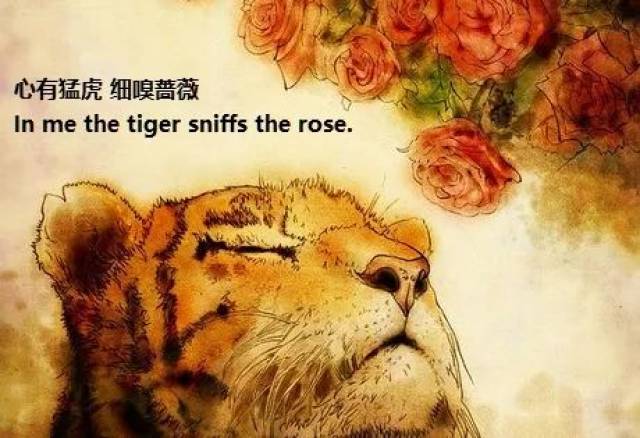 saying