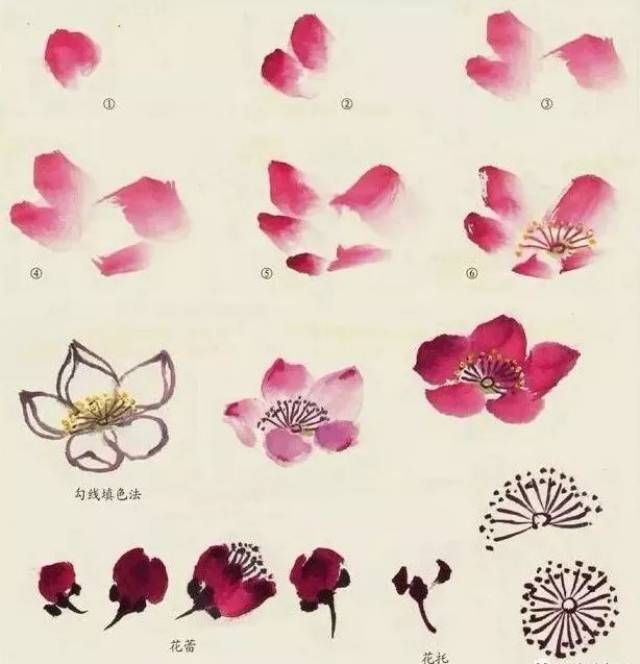 小写意花卉画法步骤:桃花,百合,绣球,鸡冠花