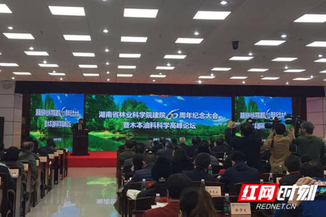 湖南省林科院60载:山林篆刻生态梦,砥志研思蕴华章