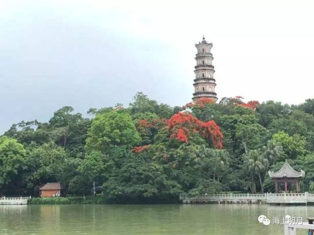 题西湖泗洲塔