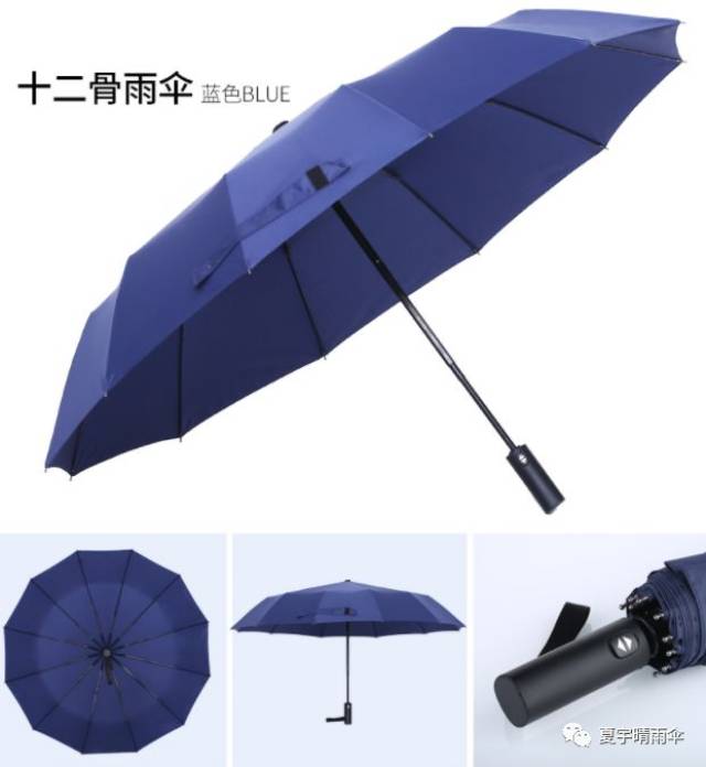 2019爆款自动开收晴雨伞12骨