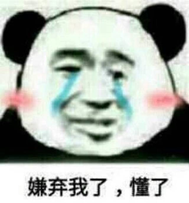 嫌弃我了,懂了