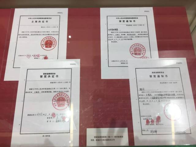 【解局】国监委的第一张留置决定书,给了谁?