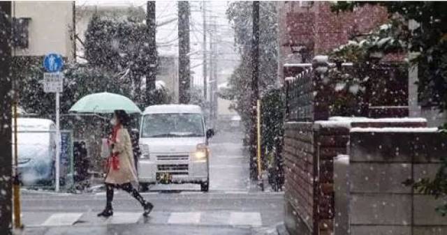 日本迎来暖冬,东京还有蝉鸣,北海道至今未下雪