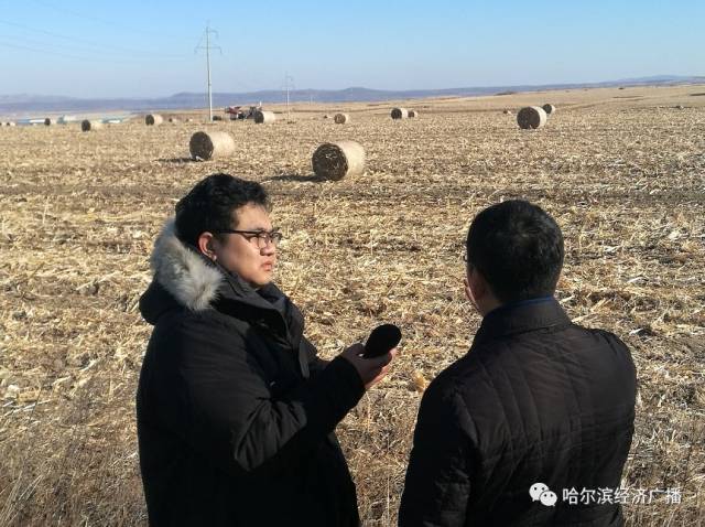 黑龙江东宁市秸秆都去哪儿了?受到中央媒体关