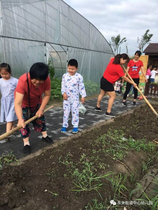 【东幼食育篇】薯趣知多少——东关街道中心幼儿园大班年段番薯主题周