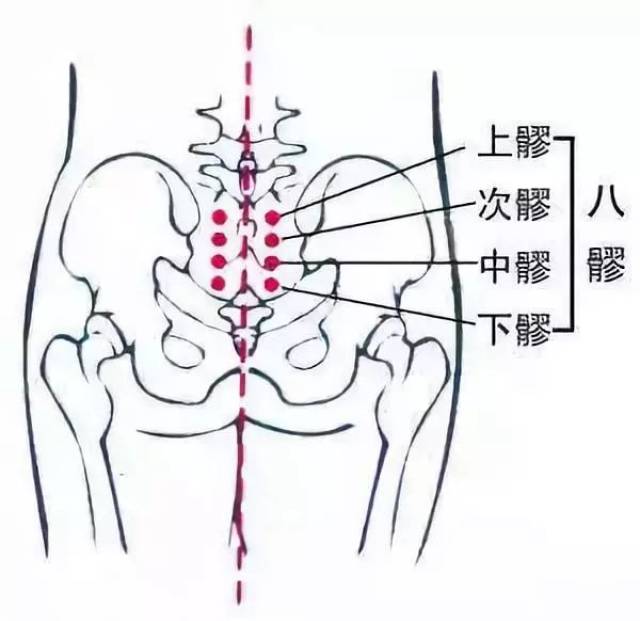 4, 八髎穴:打开臀部气血开关,调理胞宫环境,最重要,最常用.
