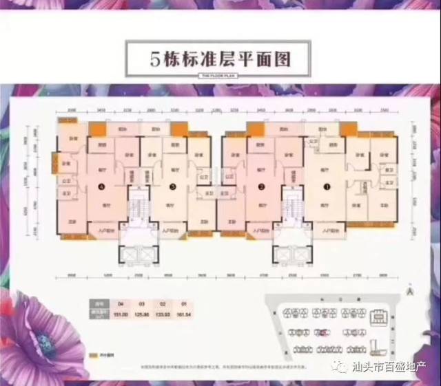 东区新楼盘 佰悦春天 采光佳 花园小区 正园心