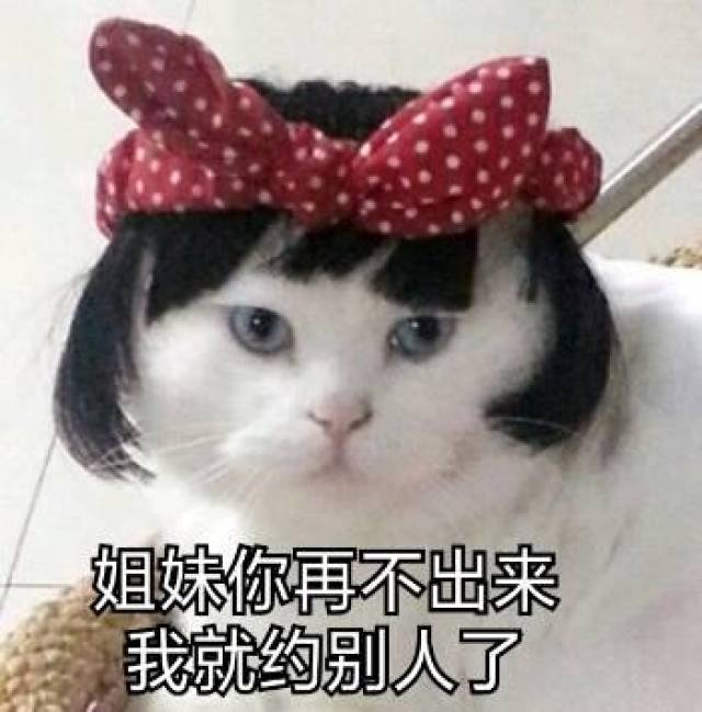 塑料姐妹花表情包:姐姐你真好看,妹妹你也是