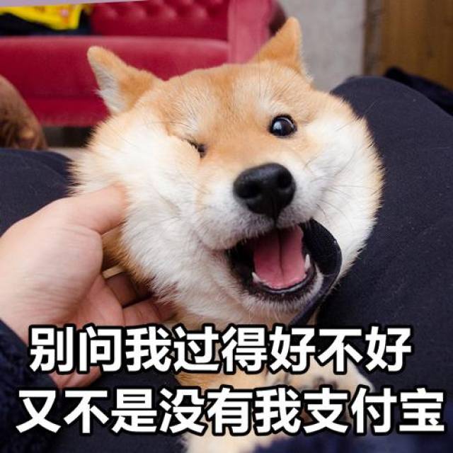 别问我过得好不好,又不是没有我支付宝
