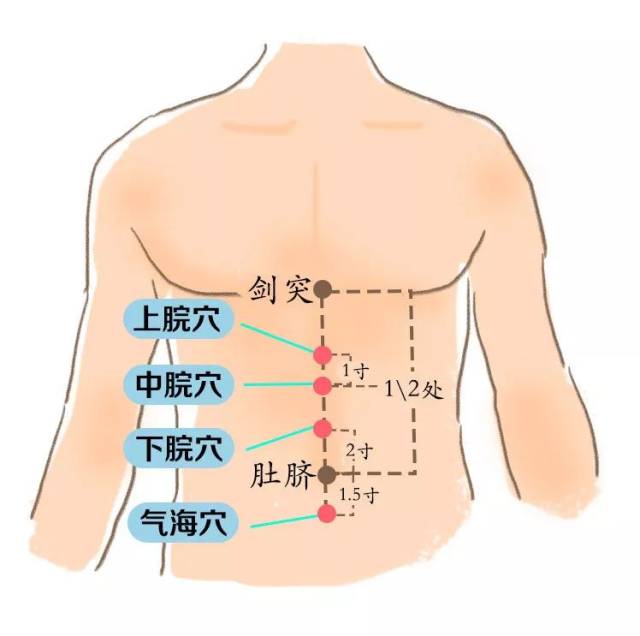 足三阴经:分布于大腿内侧,从脚走腹. 操作