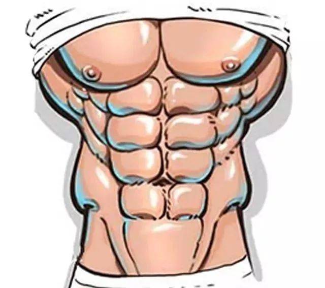 你的腹肌是哪种形状?