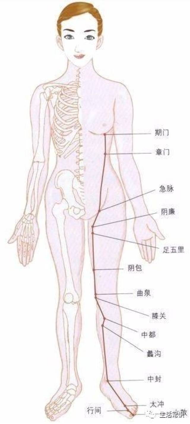 操作方法:双手从胸部循肝经,向下捋100次,配合深呼吸.