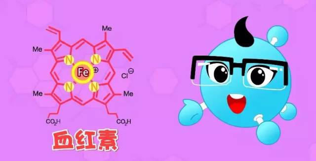 今日化学 || 叶绿素和血红素有什么区别?速度收藏!