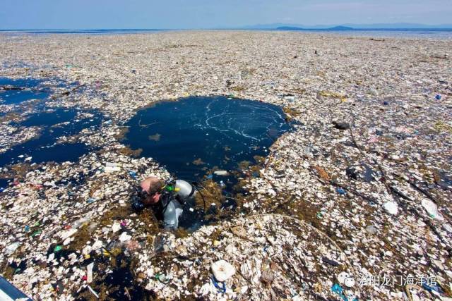 罗阿坦岛现"塑料海洋" 潜水胜地变垃圾场触目惊心.