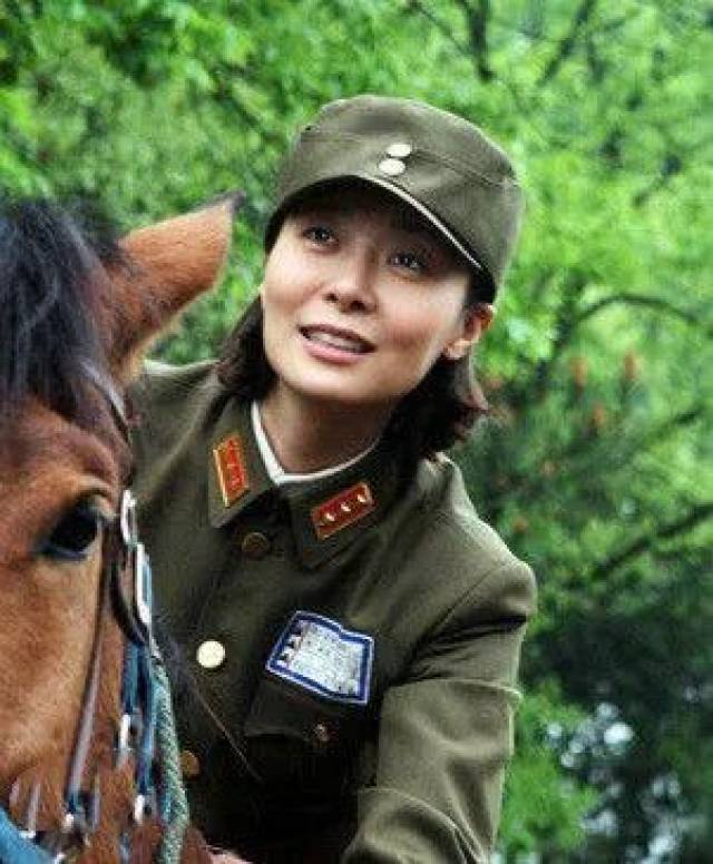 【追剧】胡军、李雪健经典力作《孤军英雄