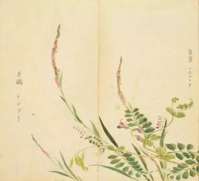 《诗经》精美古画100幅,笔下春风,丹青过实!