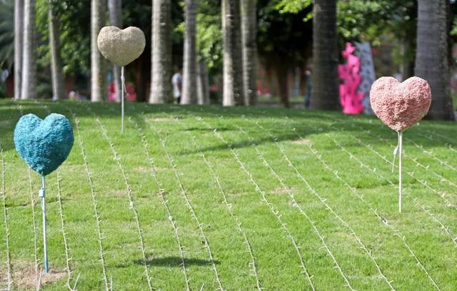 剧透!灯光秀现场长什么样?水幕电影的原理又是