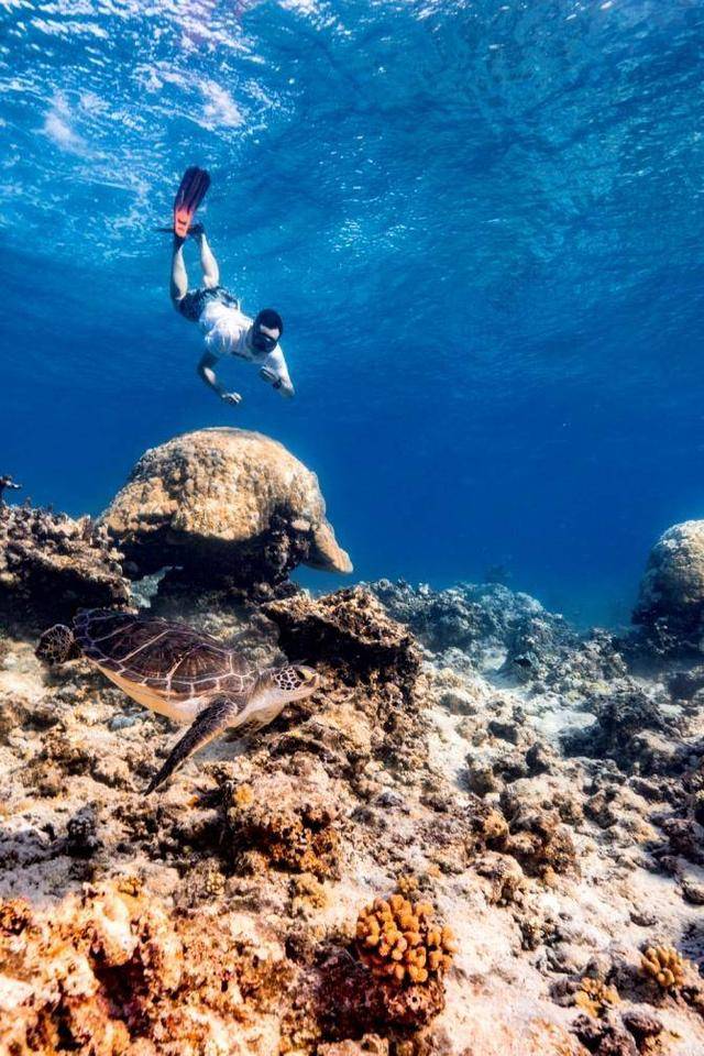 刘烨又双叒叕为环保发声,背后竟有如此神技…