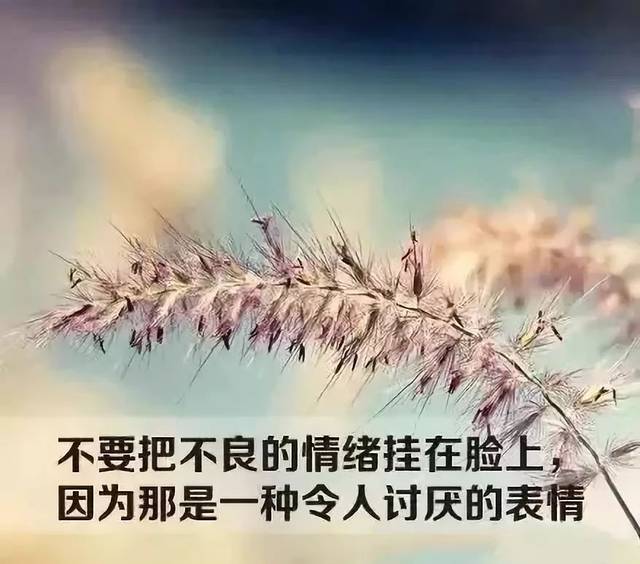 情绪(很经典)