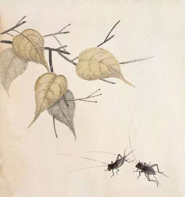 莲语| 《就是那一只蟋蟀》 | 朗读者:林锋
