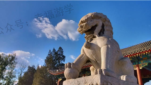 老师问,圆明园是谁烧的,你家孩子会怎么回答?