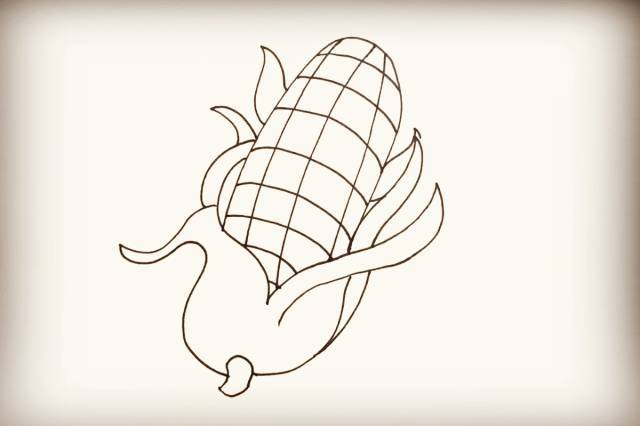 简笔画—玉米 | 巧手教育