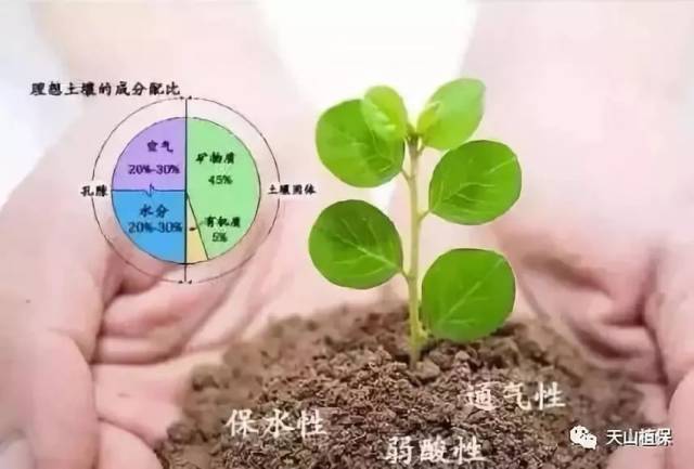 总结!氮,磷,钾,微量元素,作用及鉴别方法