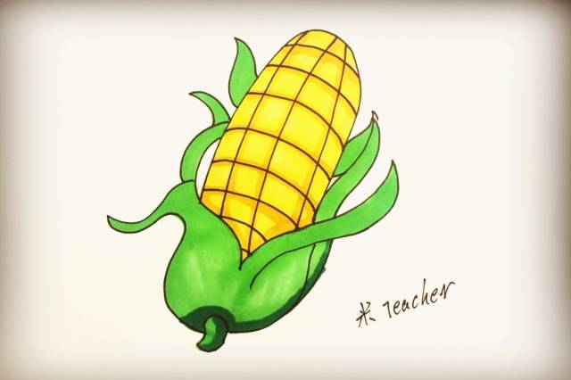 简笔画—玉米 | 巧手教育