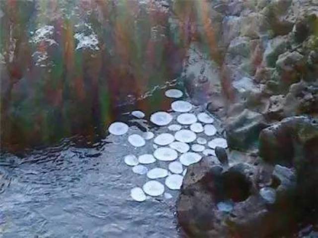 你见过65535网页传奇吗?25个超自然现象