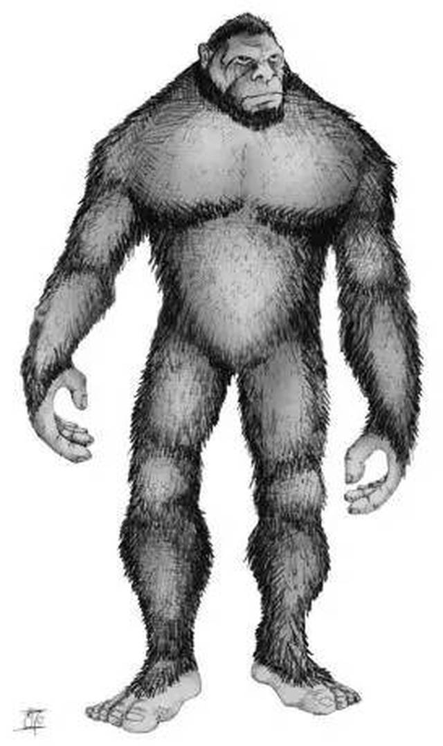 你见过65535网页传奇吗?25个超自然现象